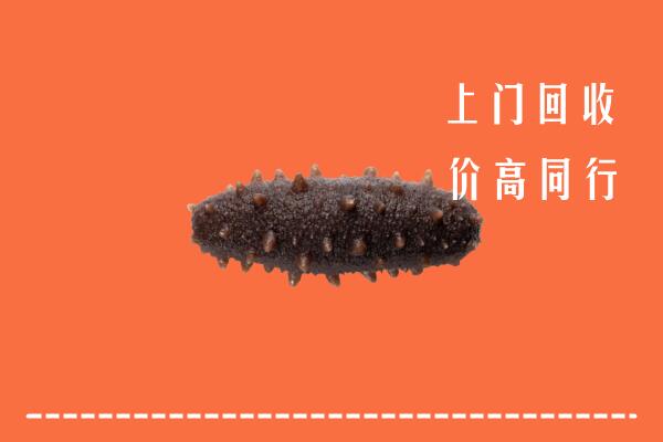 安顺高价回收海参