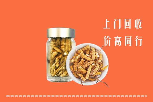 安顺回收冬虫夏草